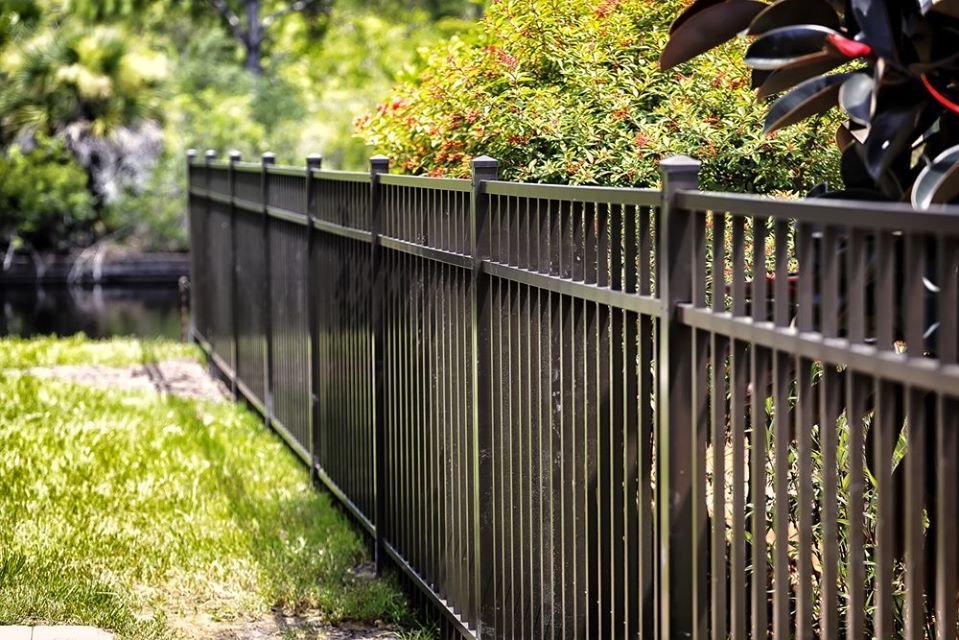 Basic 4 foot iron fence
